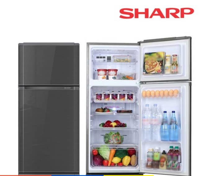 Sharp รุ่น SJ-C19E-WMS
